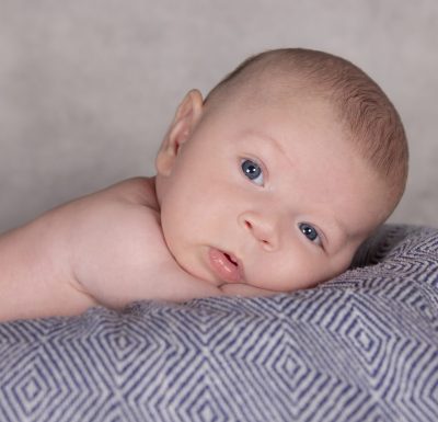 photodesign_hoffmann_baby